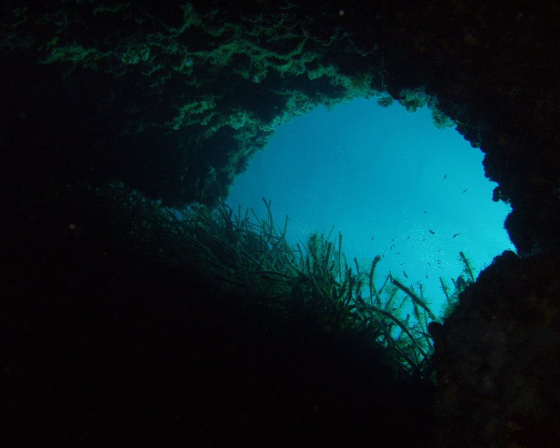 Divesite Image
