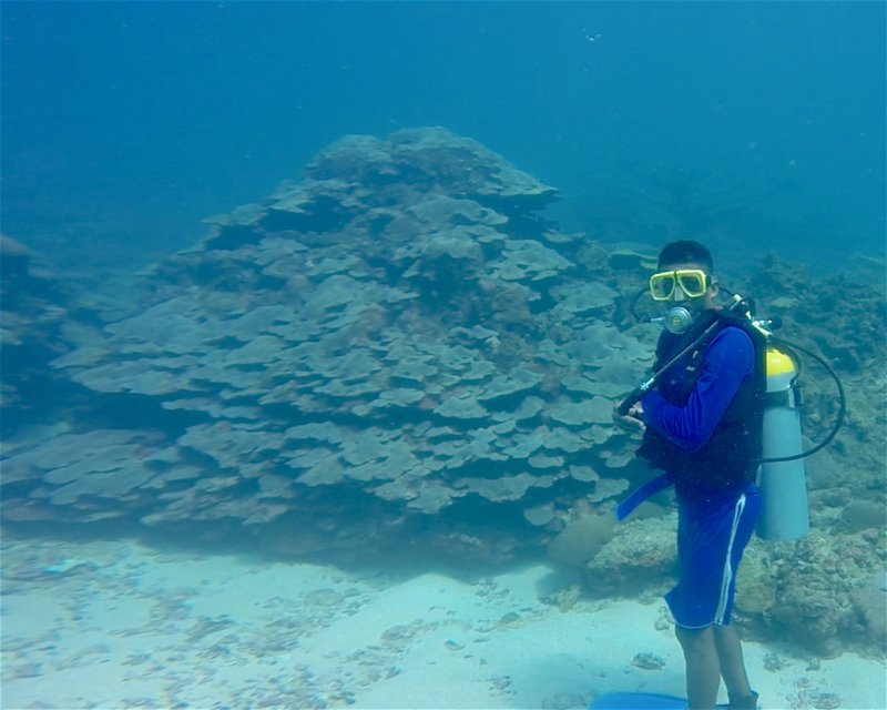 Divesite Image
