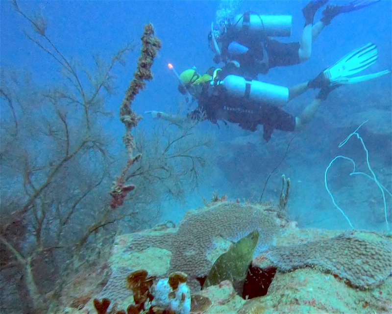 Divesite Image
