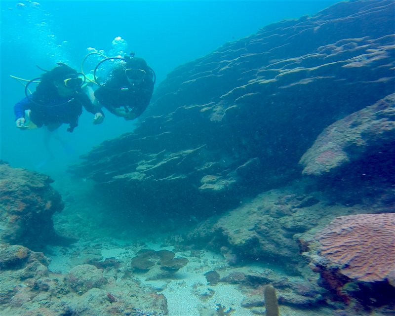 Divesite Image