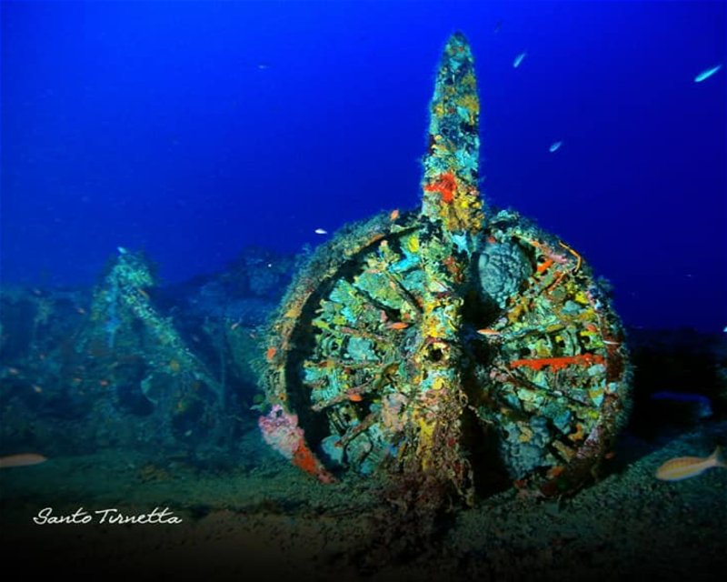 Divesite Image