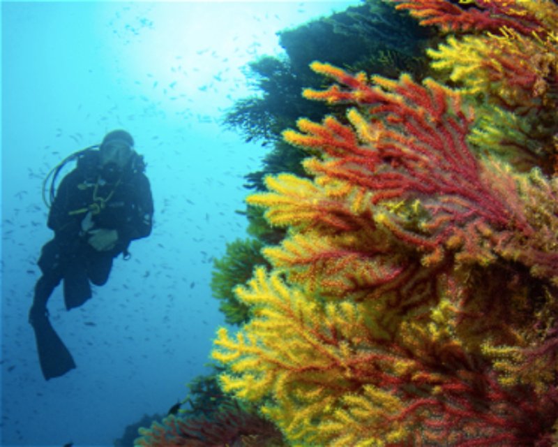 Divesite Image