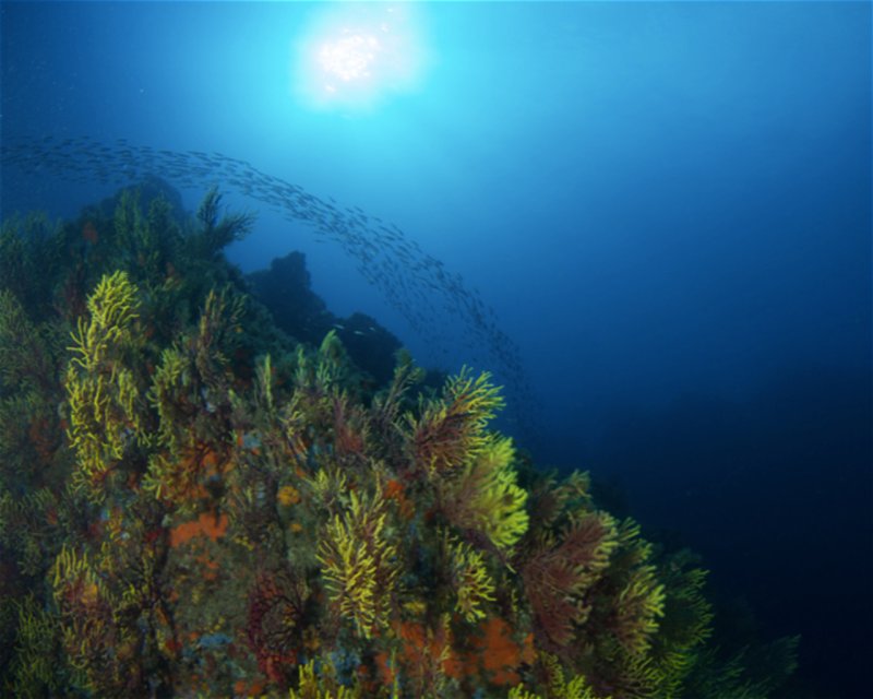 Divesite Image
