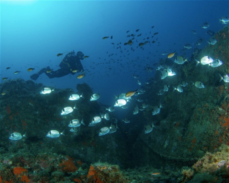 Divesite Image