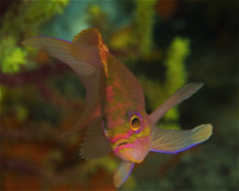 Divesite Image