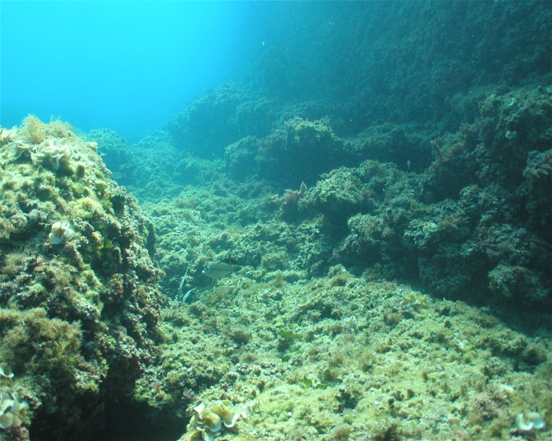 Divesite Image