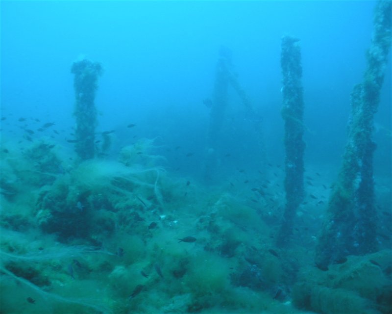 Divesite Image