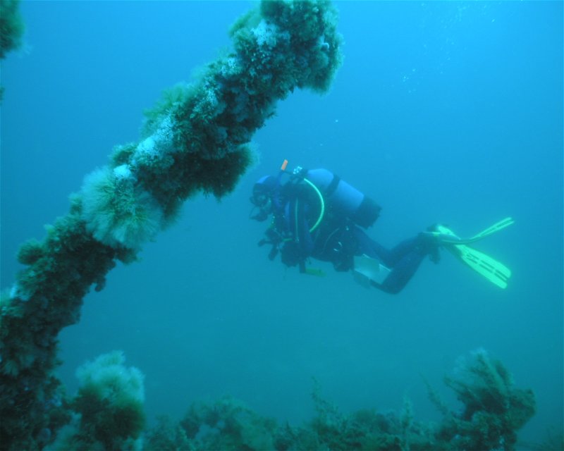 Divesite Image