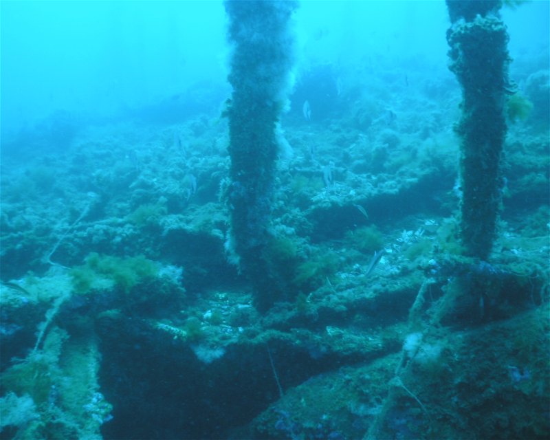 Divesite Image