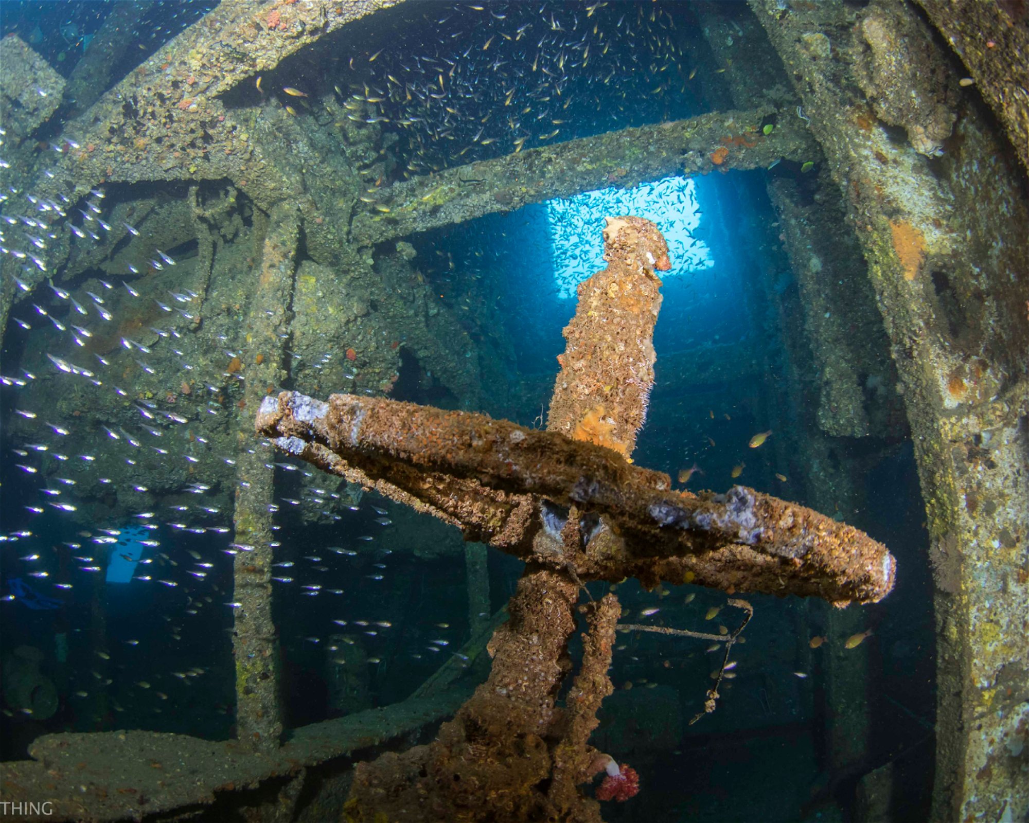 SCUBA WORLD, 4557 Mooloolaba
