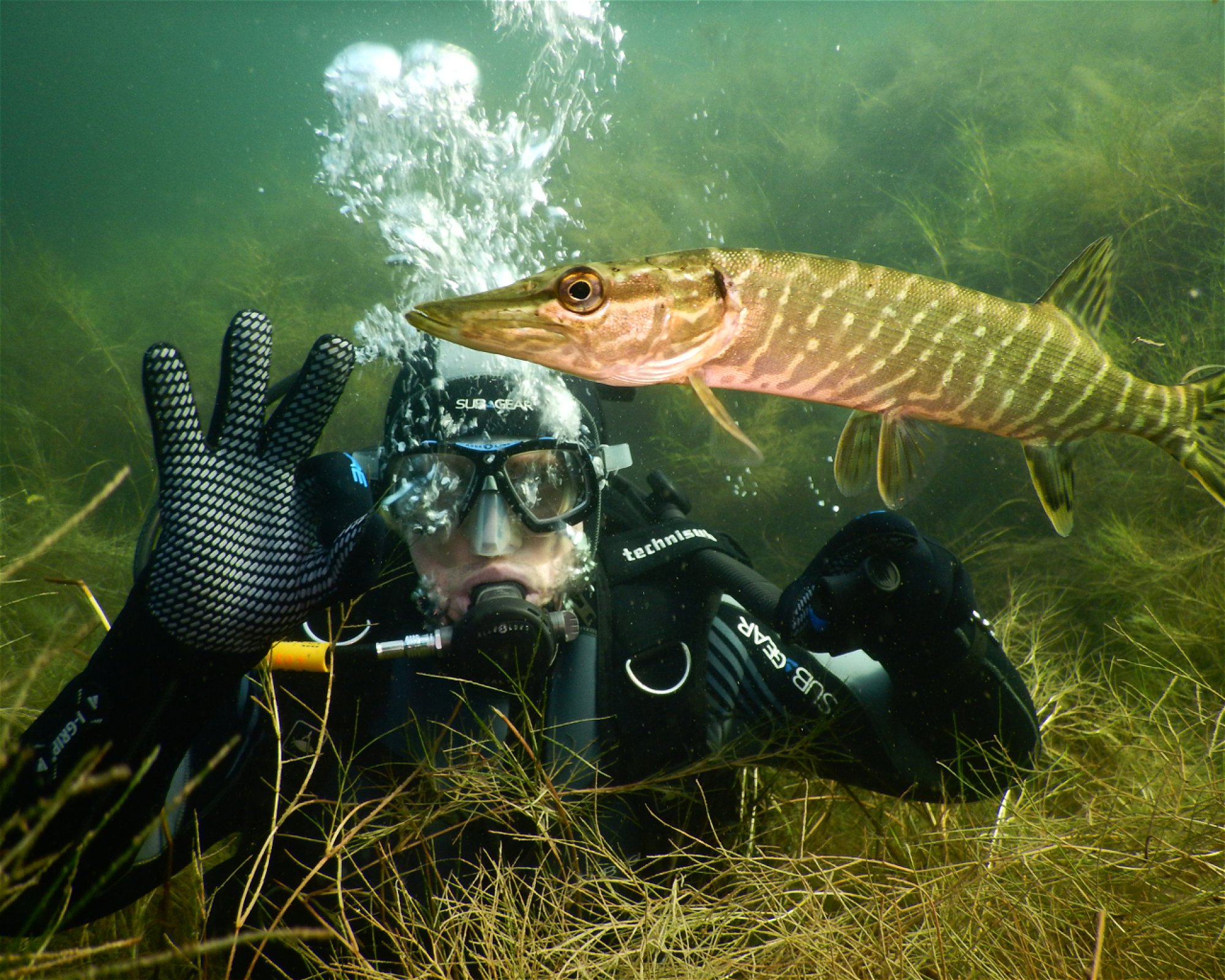 Scuba Dive Jacek Frydrych, 45-332 OPOLE