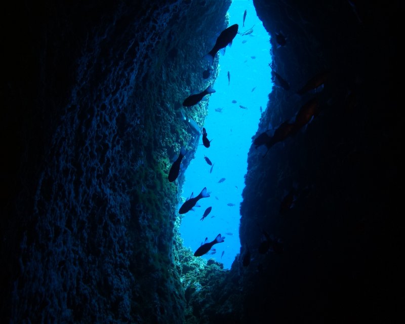 Divesite Image