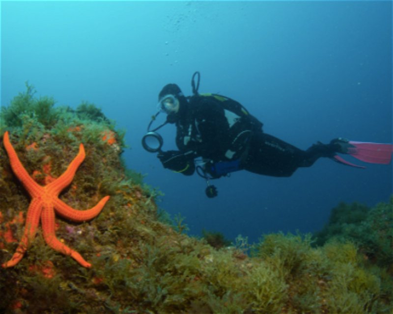 Divesite Image