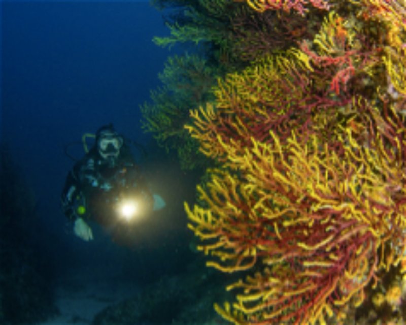 Divesite Image