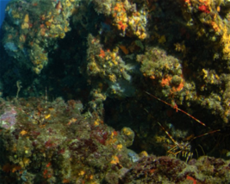 Divesite Image