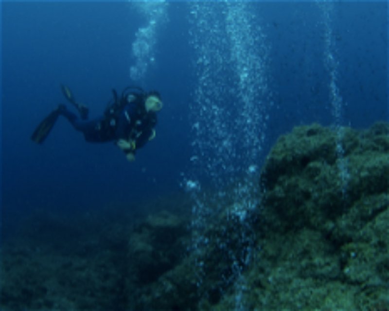 Divesite Image