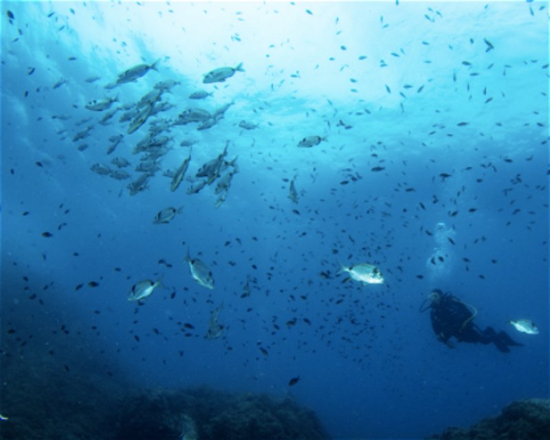 Divesite Image