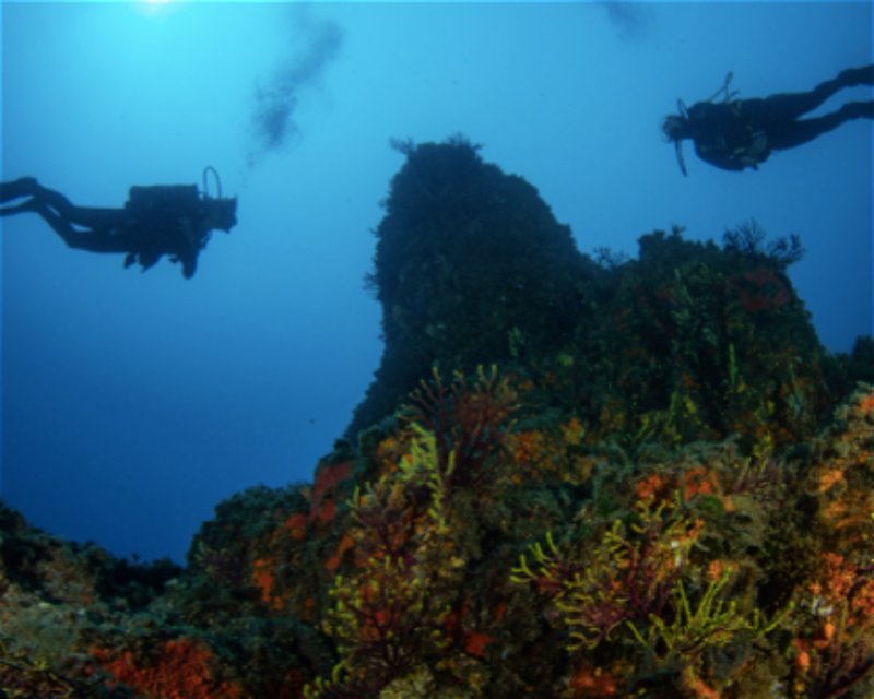 Divesite Image