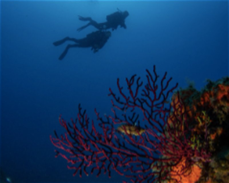 Divesite Image
