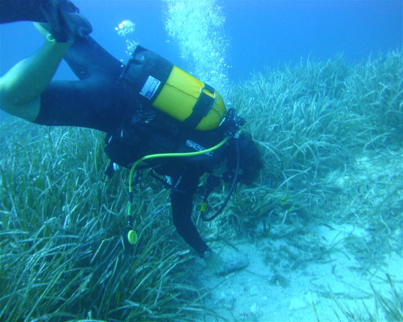Divesite Image