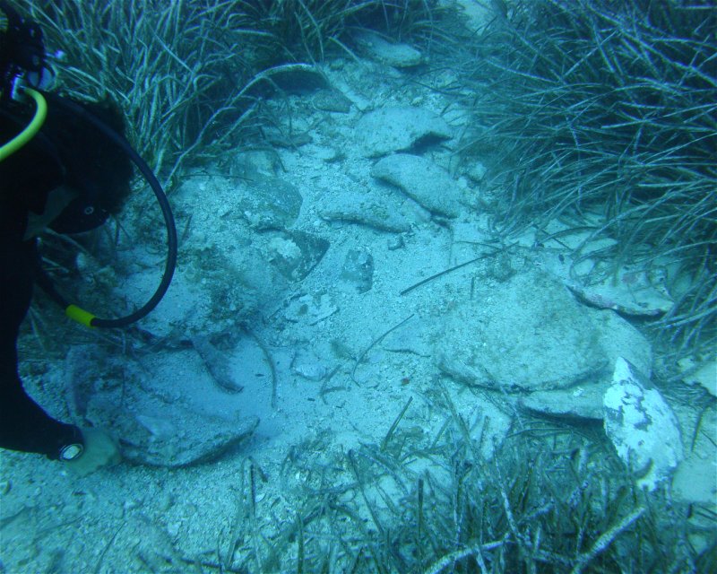 Divesite Image