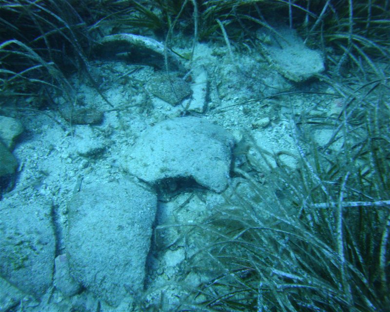 Divesite Image