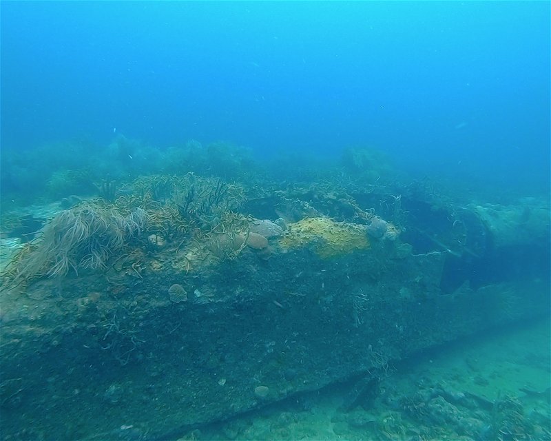 Divesite Image