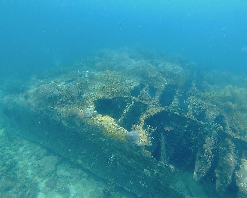 Divesite Image