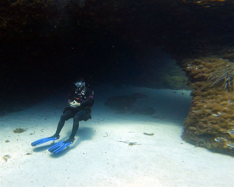 Divesite Image