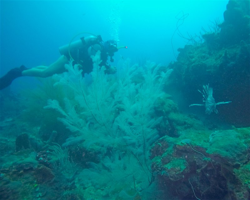 Divesite Image