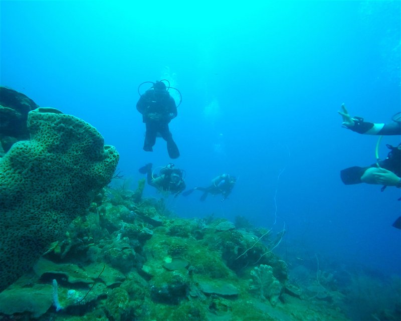 Divesite Image