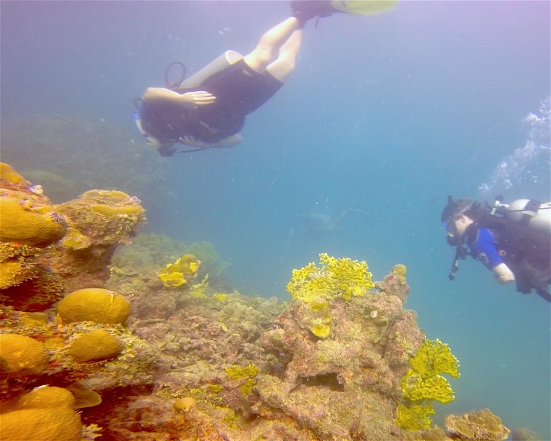 Divesite Image