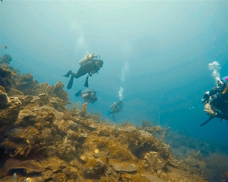 Divesite Image