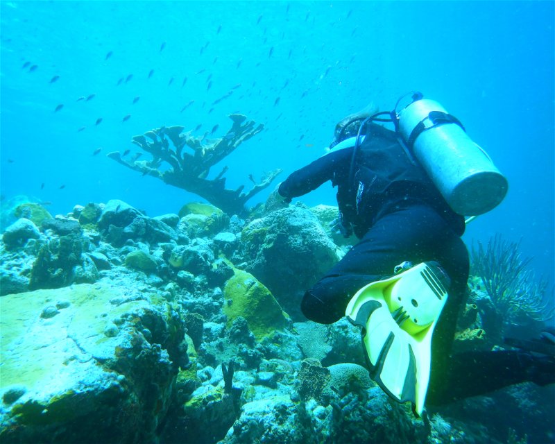 Divesite Image