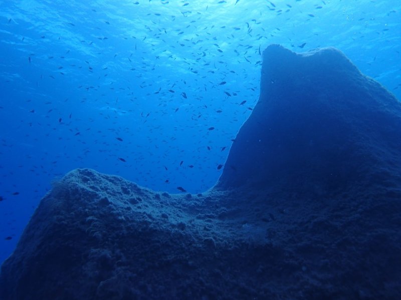 Divesite Image