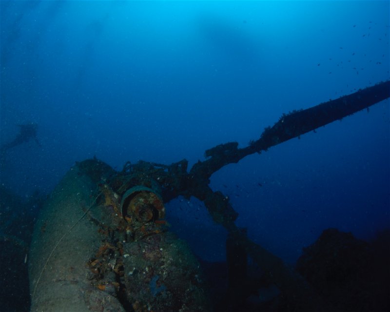 Divesite Image