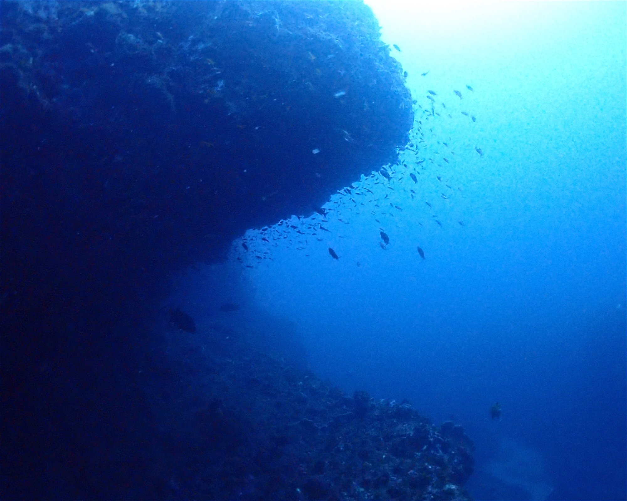 Diving Lounge aqua QUEST, 1700002 Toshima-ku,