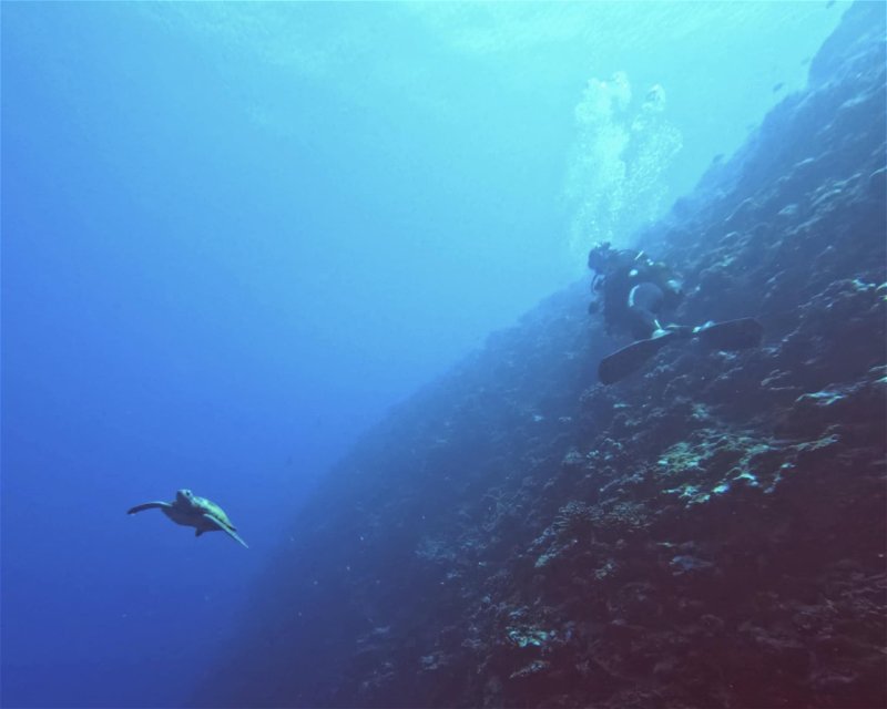 Divesite Image
