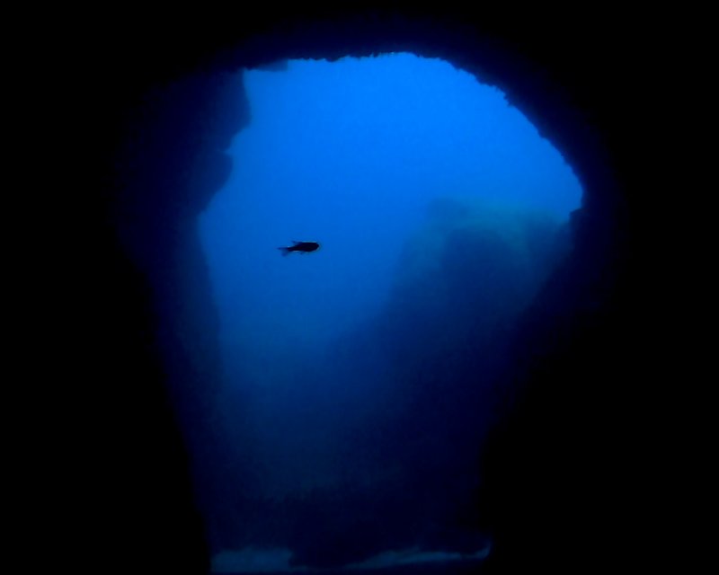 Divesite Image