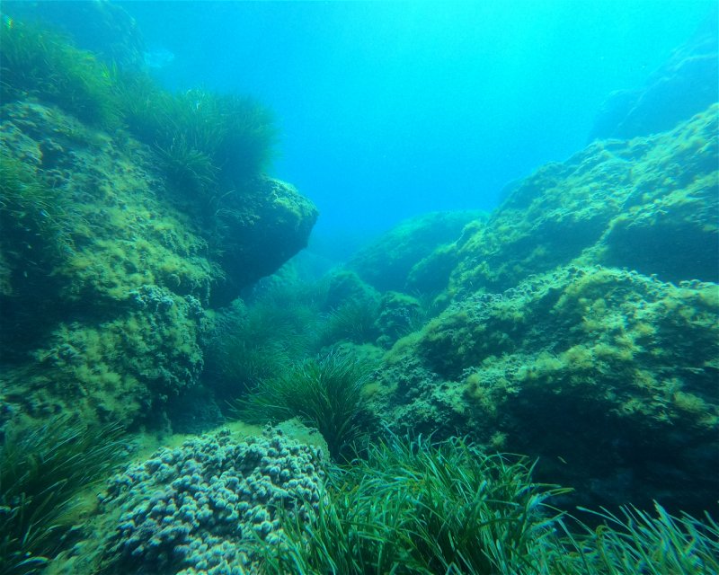 Divesite Image