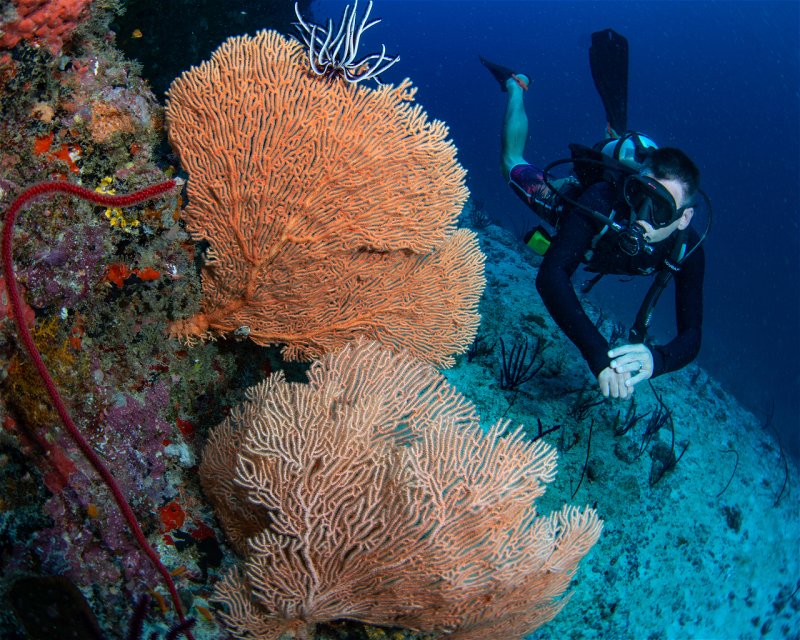 Divesite Image