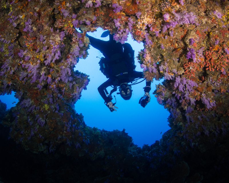 Divesite Image