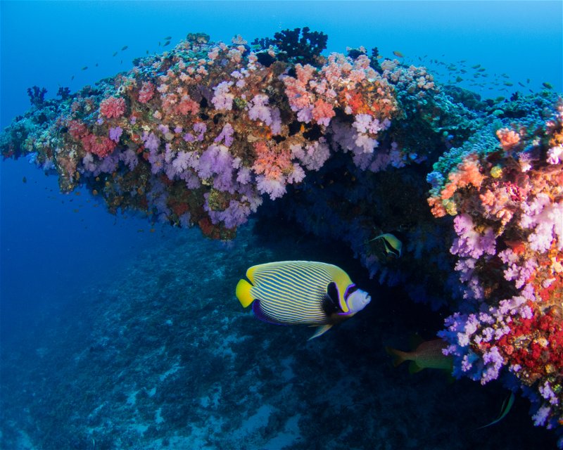 Divesite Image