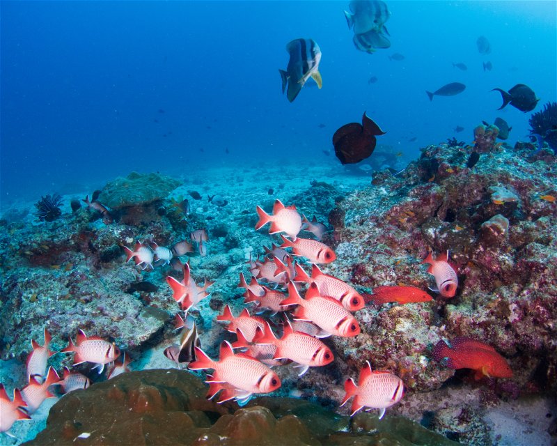 Divesite Image