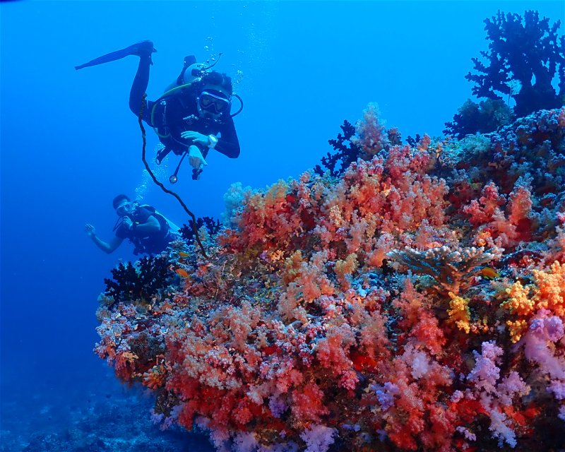 Divesite Image