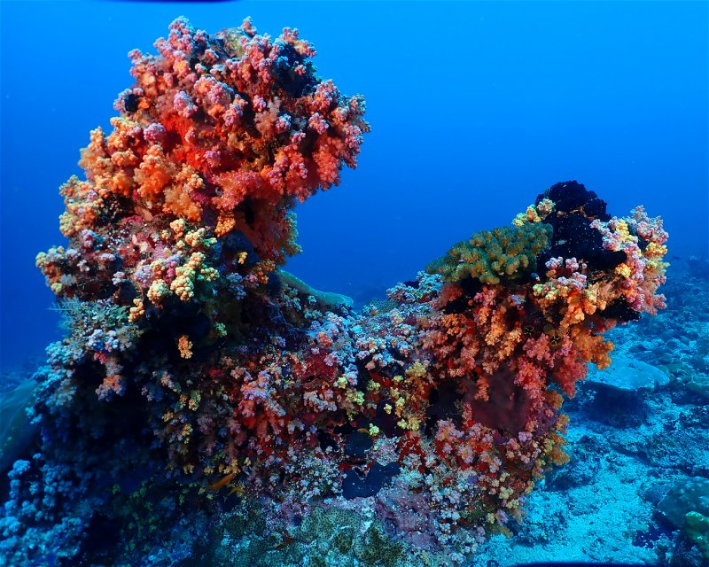 Divesite Image