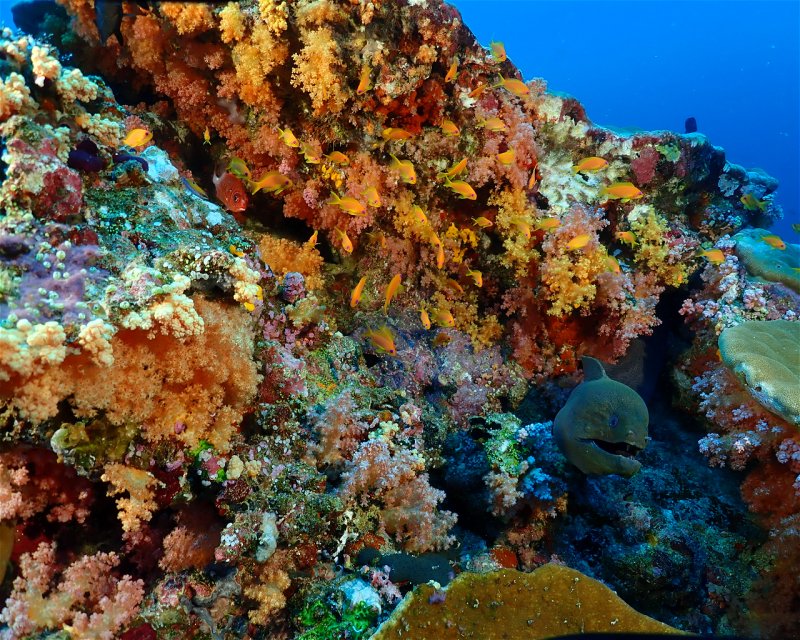 Divesite Image