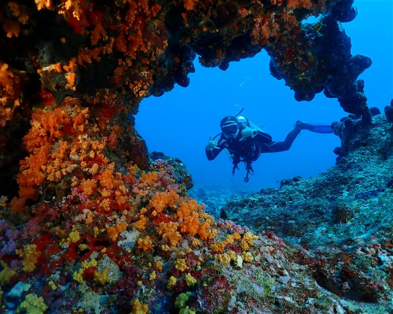 Divesite Image