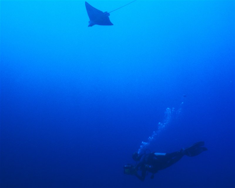 Divesite Image