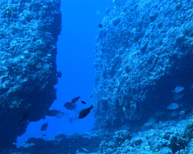 Divesite Image